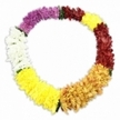 A beautifully crafted chrysanthemum lei, shaped into a neat oval, is showcased against a bright white background, its colours arranged with the kind of care a Stanmore florist might bring to a family tribute. The garland is densely woven with artificial blooms that closely resemble real chrysanthemums or carnations; their numerous, finely ruffled petals create a soft, padded surface that looks almost like fabric. Colour is used thoughtfully, travelling around the lei in defined yet harmonious sections. Beginning at the top left, there is a portion of sumptuous dark purple blossoms, followed by a serene stretch of pure white that feels calm and contemplative. The sequence then brightens into cheerful yellow before gently warming into deeper golden, amber-like tones, similar to the glow over local Stanmore rooftops at sunset. This warmth gives way to a solemn band of maroon and reddish-brown petals, creating a sense of depth and remembrance. The circle ends with a fresh burst of bright yellow that reconnects with the lighter earlier tones, completing the loop in a visually satisfying way. Here and there, small dark green fabric leaves or connectors peek between segments, lending an understated touch of greenery and revealing the lei's hand-threaded construction. A soft, subtle shadow beneath the garland gives it presence and dimension, as though it rests lightly on a table, ready to be lifted and placed around a photograph, urn, or memorial display. Blending festive colour with gentle gravity, this lei offers a warm, aloha-inspired way to honour a loved one at a Stanmore funeral or remembrance gathering.