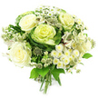A generously rounded, hand-tied bouquet in shades of white, cream and rich green is shown against a simple white background, giving it a sense of calm clarity and allowing every texture to be seen. The design is anchored by several large, fully opened ivory and creamy white roses, whose softly ruffled petals layer outwards to form plush, cup-shaped blooms that feel warm, romantic and reassuring. Interspersed among them are distinctive ornamental cabbages with their sculpted rosettes of foliage, each one moving from deep, leafy green around the outer edges to tightly packed, pale green and yellow-tinged centres, bringing a fresh, contemporary character to the bouquet. Fine clusters of small white filler flowers and tiny daisy-like blossoms with creamy yellow centres ripple through the arrangement, creating intricate detail and an airy lightness, like the dappled brightness of Stanmore's gardens on a clear day. Slender stems of white alstroemeria, their petals delicately marked, weave subtly between the larger blooms, while spiky, star-shaped heads of astrantia in greenish white rise above them, adding a refined, slightly wild edge. The entire composition is encircled by a generous layer of green foliage, from broad, glossy leaves to more slender, arching greens, framing the flowers and enhancing their freshness. At the base, the stems are cleanly gathered and tied, ready for a vase in a Stanmore living room or hallway. Blending classic romance with modern botanical detail, this bouquet feels perfect for winter weddings, housewarmings, thoughtful congratulations, or simply bringing a touch of tranquil elegance into everyday life in and around Stanmore.
