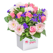 A lush and cheerful bouquet sits bright against a smooth white box, its hues capturing the welcoming spirit of Stanmore and its picturesque streets. Bold pink roses, some tightly furled, others fully open to reveal soft whorls of petals, create a focal point of blooming energy. Pale pink gerberas nestle among the roses, their daisy-like faces and creamy-yellow hearts catching the light and bringing a playful, optimistic air. Throughout the arrangement, delicate clusters of deep purple limonium provide contrast and texture, while rich green leaves peek from beneath, mimicking the wild hedgerows along Stanmore Hill. The modern planter-glossy, pristine, and unadorned-brings a contemporary note, its surfaces reflecting the natural daylight that bathes the flowers. This bouquet feels like a celebration brought indoors-ideal for birthdays, sending thanks, or brightening a table in a Stanmore home. Carefully assembled by the area's talented florists, the bouquet offers not only freshness and quality but a sense of heartfelt artistry rooted in the neighbourhood's love of beauty and tradition.