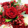 This detailed close-up shows a romantic bouquet where deep crimson red roses and creamy white roses are woven together in a lush, sophisticated arrangement that feels perfectly suited to Stanmore's calm, residential charm. At the centre, a fully opened red rose immediately captures attention; its petals, velvety and richly coloured, spiral outward in a classic rosette, each layer gently curling to create an almost sculptural form. Surrounding this focal bloom are other dark red roses, some partially hidden by overlapping petals and foliage, others beginning to unfold, giving the composition depth and a sense of gentle movement, like a slow-blooming love story. Threaded naturally through and around the roses are fine stems of red Gypsophila, whose countless tiny blossoms create a light, cloud-like texture that softens the strong shapes of the larger blooms and adds an unexpected, modern twist on the usual white baby's breath. Tucked among the petals, polished red Hypericum berries appear in glossy clusters, each round berry shining quietly as it catches the light, evoking the feel of winter berries along the paths near Stanmore Hill. Creamy white roses provide serene contrast, their smooth, luminous petals gently opening and offering a feeling of peace and devotion within the bouquet's passionate reds. The entire design is embraced by fresh greenery: rounded eucalyptus leaves in muted, silvery-green tones, along with darker green foliage, fan out to frame the central flowers and create an impression of fullness and freshness. Soft, even lighting bathes the entire arrangement, revealing every nuance of texture without harshness, as though the bouquet has just been set down on a polished table, ready for delivery to a Stanmore home or restaurant. The image evokes romance, celebration, and thoughtful craftsmanship, the kind of floral design chosen for anniversaries, romantic surprises, or heartfelt gestures shared close to home.