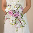 This photograph shows an elegant bride holding a luxurious cascading bouquet, the kind you might see carried down the aisle at a refined Stanmore ceremony. The composition is captured at eye level, with the bride visible from the waist up against a softly blurred, warm neutral background that lets every floral detail come forward. Her white or ivory lace gown, rich with intricate patterning on the sleeves and bodice, forms a delicate backdrop to the flowers she holds firmly yet tenderly. The bouquet itself is arranged in a classic teardrop cascade, brimming with white, blush pink, lavender, and bold fuchsia hues. At its core, large white Phalaenopsis orchids spread their wide, velvety petals, each bloom showcasing a dainty yellow-gold center that glows in the ambient light. Nestled among these orchids are clusters of blush roses, their spiralled petals creating a soft, cushion-like effect and adding layers of romantic texture. Slender stems of lavender stock weave gently throughout the arrangement, their subtle pastel purple blossoms introducing a sense of graceful movement. Here and there, fine sprigs of white baby's breath break up the denser forms, giving the eye a place to rest and lending a light, ethereal touch. From the lower half of the bouquet, vivid fuchsia or magenta amaranthus streams downward in draping strands, adding drama and a sense of flowing motion, as though the flowers are gently cascading toward the bride's skirt. At the very bottom of the cascade, small white orchid buds, tiny lavender flowers, and slim green stems suggest the freshness of blooms prepared just hours earlier for same-day wedding delivery across Stanmore. The overall mood is one of refined romance, expert craftsmanship, and a bouquet designed to move beautifully with every step down the aisle.