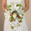 In this image, the camera focuses closely on a bride from Stanmore holding a luxurious teardrop bouquet, the flowers appearing to pool like a white waterfall over the intricate lace of her off-white gown. At the uppermost point of the cascade is a single creamy ivory rose, its petals impeccably layered and slightly curled at the edges, giving a sense of quiet elegance. Surrounding it are several open white oriental lilies, their silky petals wide and generous, with subtle reddish-brown speckles and exposed stamens that hint at their gentle fragrance. Woven among these larger blooms, delicate sprays of baby's breath create a fine, cloud-like texture, softening the transitions and lending a dreamlike quality. Below, slender stems of white Phalaenopsis orchids trail gracefully downward, each bloom with smooth, curved petals that catch the light like small moons, echoing the calm, open skies often seen over Stanmore Golf Club. Bright lime-green tufts of Green Trick dianthus or small pompon chrysanthemums nestle throughout, their soft, fuzzy texture offering a striking contrast to the sleek orchid petals and glossy lily blooms. Tiny red hypericum berries are scattered like jewels, adding lively bursts of scarlet that bring warmth and joy to the composition. Wisps of fine greenery and deeper green leaves frame and support the flowers, giving the bouquet structure while maintaining a natural, flowing feel. The result is a bridal bouquet that feels both timeless and fresh, ideal for an elegant Stanmore wedding and lovingly detailed enough to tell its own story in every petal.