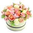 A soft sunrise of flowers captured in a round, cream-coloured hatbox sits against a pure white backdrop, the box's matte surface framed by two thin, dark bands - one circling the top rim and one near the base - that give the vessel a quiet, tailored elegance. Overflowing into a dense, domed cloud, the blooms are tightly arranged in the way of a skillful floral designer: large velvety roses take centre stage with warm coral-peach and apricot tones at their hearts that gently melt into blush pink and creamy ivory on outer petals. Between them nestle frilly, baby-pink carnations whose ruffled edges add soft, tactile texture and a sense of abundance. Scattered sparingly through the dome are slender sprigs of bright green foliage with small elongated leaves, glimpses of freshness that lift the palette and catch the light. The lighting is soft and natural, revealing the velvety sheen of each petal and casting faint, reassuring shadows that emphasize the bouquet's rounded shape. There's an implied scent - powdery, lightly sweet - like a morning garden after rain, inviting a quiet, comforting pause. The arrangement reads as both classic and gently modern, suitable for a birthday on Stanmore High Street, an intimate anniversary near Bentley Priory, or to brighten a neighbour's day after a walk across Stanmore Common. As a local florist's composition the design balances colour, form and texture with refined restraint: luxurious without fuss, intimate without being overstated. It is a bouquet that speaks of thoughtful craft, steady hands, and the simple pleasure of giving - a floral embrace delivered with the calm confidence of someone who knows their neighbourhood well.