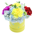 A cheerful, compact bouquet spills luxuriously from a round, pastel yellow hatbox, photographed against a crisp white background so every colour and texture reads clearly. Two large, ruffled lemon-yellow carnations crown the centre-their frilled petals catching a soft, diffused light that emphasizes delicate tonal variations from pale butter to warm gold. Surrounding and cradling those sunny blooms is a generous halo of periwinkle-blue hydrangea, each tiny floret forming a cloud-like mass of powdery blue with hints of white at the edges. To the left a bold magenta carnation punctuates the composition with its saturated hue, while a velvety crimson-red carnation on the right adds depth and a warm counterpoint. Slender sprigs of fresh green foliage peek through the flowers, lending a natural texture and lively contrast that prevents the arrangement from feeling static.

The box itself is part of the design: a smooth, cylindrical paperboard in a soft lime-yellow, playfully decorated with irregular pastel polka dots in light blue, blush pink and pale green, some speckled with tiny white flecks-details that suggest spring, celebrations and thoughtful gifting. There's an audible sense of care in the arrangement: stems trimmed to sit at a perfect dome, colour balanced for both visual impact and gentle harmony. The scent is quietly floral-carnation's clove-like sweetness layered over the fresh, green breath of foliage-inviting a smile and a gentle inhale.

This bouquet feels suited to brightening a birthday, welcoming a new baby, or sending get-well wishes across Stanmore-carried from florist hands to a doorstep near Stanmore High Street or delivered to a bedside on Stanmore Common with the same careful touch.