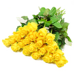 A lush grouping of about twenty-four long-stemmed yellow roses spreads across a pristine white background, captured in crisp, even lighting that highlights the purity of both colour and shape. The blossoms are massed together in a generous cluster, then trail off into a looser fan of stems, evoking the look of a bouquet briefly laid down between arrangements. Each rose head displays a slightly different stage of opening: some remain in compact buds, with petals folded tightly in concentric spirals, while others show the first signs of unfolding, their outer petals curving back to reveal velvety inner layers in warm golden tones. The bright yellow of the petals contrasts beautifully with the surrounding dark green foliage, where glossy leaves and subtly lighter undersides create texture and visual interest. At the far edge, smooth light green stems extend away from the blooms in a gentle arc, suggesting freshly cut flowers ready to be tied for delivery. The overall impression is soothing and dignified, making these roses especially appropriate for sympathy arrangements, funeral flowers, or condolence bouquets. In Stanmore, this style of yellow rose display might be sent to a family remembering a loved one near Bentley Priory Nature Reserve or along The Broadway, offering a touch of light amid sorrow. The clean white setting keeps the focus entirely on the natural grace of the roses, allowing their quiet message of comfort, remembrance, and enduring friendship to resonate with those who view the image.
