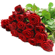 A wide band of luxurious red roses rests against a pristine white background, creating a powerful visual statement built entirely from colour and form. Around two to three dozen long-stemmed roses have been carefully aligned in a horizontal row, their blooms overlapping enough to appear as one continuous, velvety wave of crimson. Each rose is unique in its stage of opening: fully blossomed flowers display layer upon layer of soft, velvety petals spiralling from a tight centre, while slightly younger blooms remain more compact, giving the overall arrangement a sense of life and movement. The red hue is intense yet refined, a deep, romantic shade that calls to mind candlelit dinners in Stanmore's cosy homes or intimate celebrations in local venues near Stanmore Underground station. Along the upper right edge of the composition and between the blossoms, dark green stems and glossy leaves emerge, their cool tones grounding the visual warmth of the petals. The foliage looks fresh and sturdy, hinting that these roses were cut and arranged recently, perhaps minutes before being prepared for a special delivery across Stanmore, Canons Park, or Bushey. The lighting is bright, evenly washing over the bouquet and emphasising the tactile richness of the petals and the subtle veins running through the leaves. The stark white background eliminates any clutter, allowing the viewer to focus purely on the roses' romantic drama and sculptural beauty. This bouquet feels intentionally composed for meaningful moments-anniversaries, apologies, grand declarations of love-where the classic elegance of red roses speaks more eloquently than any written note could, turning an ordinary day into a defining memory.