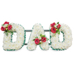 A reverent three-dimensional floral tribute spells out the word DAD in bold capital letters, each letter densely covered with hundreds of small, pristine white chrysanthemum blooms that create a cloud-like, tactile surface. The chrysanthemums' fine, feathery petals catch soft, even light, giving the letters a calm, luminous presence against a pure white background. Each letter's perimeter is crisply defined with a deep emerald, pleated ribbon that frames the white texture and lends a formal, dignified edge. To bring warmth and focal contrast, each letter is adorned with a compact spray of deep red roses and small white freesia, their velvety rose petals and delicate freesia buds offering a gentle scent that one imagines drifting upwards. Lush green foliage nestles around each spray, and on the central A a subtle loop of bright green foliage lifts the eye and adds a contemporary flourish. A discreet dark green or black metal framework runs horizontally behind the bases of the letters, just visible between the blooms, giving the display structural cohesion and the quiet reassurance of professional craftsmanship. The arrangement reads as both traditional and personal-white chrysanthemums speaking of devoted love and peace, red roses signalling deep respect-making it a fitting, heartfelt tribute for a father at a memorial or graveside service. As a Stanmore florist would note, the simple palette and careful detailing create a powerful statement of remembrance; this piece would be equally at home near Stanmore Broadway or placed at a service by the parish church, communicating comfort and reverence without words.
