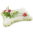This dignified pillow-shaped floral tribute is carefully hand-crafted from hundreds of small, snow-white chrysanthemums, their tight, cushiony heads pressed together to form a serene rectangular surface that reads like a quiet field of peace. A pale lime-green satin ribbon, pleated into a delicate frill, traces the edge of the cushion with a whisper of sheen, catching soft studio light and giving the piece a finished, tailored look. On the upper left, a naturalistic cluster of flowers rises from the white expanse: two ivory Oriental lilies open gently to reveal their warm yellow stamens beside a sleek, closed lily bud, the lilies' noble forms offering a subtle perfume that lifts the composition. Dark burgundy spray carnations nestle among the lilies, their ruffled petals creating a rich contrast to the white chrysanthemum ground. Behind and between the blooms, a variety of green foliage - feathery fern fronds, broader glossy leaves and sprigs of salal - build depth and a verdant backdrop. From this cluster an elegant, sinuous loop of green leaf or decorative wire arcs across the cushion and concludes on the right with a single deep red rosebud, poised as if laid there in gentle farewell; its velvety petal edges are just beginning to unfurl, suggesting enduring love and respect. Set against a clean white background, the palette of white, deep red and soft green reads as purity, comfort and remembrance. As a traditional sympathy piece, this floral pillow offers calm presence at a funeral or memorial, an understated, tactile expression of condolence and tribute crafted with considered florist skill in the Stanmore area.