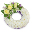 A dignified circular funeral wreath, photographed against a clear white backdrop, composed of a dense cushion of pristine white spray chrysanthemums that form a soft, ruffled ring. The wreath's abundant chrysanthemum heads are packed closely to create a plush, cloud-like texture; each petal tier reads as cool, matte white under soft studio light, casting a gentle shadow that gives the design depth and presence. Along both the inner and outer rims a faint ribbon of dusky purple netting or fine mesh peeks through the white blooms, lending a discreet border of colour and subtle sophistication. At the upper-left quadrant an intentional cluster breaks the perfect circle: three creamy yellow roses, their velvety petals unfurling in calm, open spirals, serve as the warm focal point. Around them float airy sprays of white baby's breath (gypsophila) and tiny lavender-purple statice or limonium, their papery textures and petite shapes adding a delicate contrast to the fuller chrysanthemums. Lush green foliage - a mix of broad glossy leaves and slender fern-like fronds - frames the cluster, providing cool verdant depth and a fresh, living counterpoint to the pale blooms. The overall palette of pure white, soft butter-yellow, muted purple, and deep green conveys respect, comfort, and quiet remembrance. As a local Stanmore florist might explain when preparing tributes for services near Bentley Priory or Stanmore Common, this wreath offers a composed, comforting presence for a funeral or memorial, evoking solace and gentle memory without overt ornamentation.