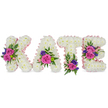 A serene standing tribute spells out KATE in four freestanding, three-dimensional letters crafted from a dense carpet of pristine white chrysanthemums. The surface of each letter reads as a soft, snow-like texture under a gentle studio light, the tiny petals packed so closely they form a plush, clouded relief you can almost feel with your fingertips. Each letter is traced along its edges and inner curves with a pale pink satin ribbon that catches the light, giving the white chrysanthemum ground a faint rosy halo and a tender, ribbon-soft outline.

Clusters of accent blooms punctuate the composition with deliberate grace: velvety fuchsia-pink roses form the focal points, while smaller pastel pink spray roses and delicate purple-blue sprigs - likely statice or lisianthus - provide cool contrast and fine, twinkling colour. Lush green foliage, from feathery fern fronds to smooth eucalyptus leaves, frames and lifts these clusters, adding depth, movement, and a fresh, herbal scent that offsets the sweeter rose perfume. On the K a bold diagonal cluster anchors the form; the A is sweetened near its lower right curve; the T carries blooms close to its base; and the E is balanced with two groupings on its middle bar and lower arm.

This arrangement sits against a clean white backdrop so the composition reads clearly and respectfully - a classic personalised sympathy tribute that marries gentle colour with refined craftsmanship. It conveys quiet remembrance and the comfort of thoughtful detail, the kind of piece a local Stanmore florist might prepare for a celebration of life near Canons Park or a farewell service on Stanmore High Street.