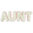 This image presents a touching floral tribute where the word AUNT is carefully constructed in large, freestanding capital letters, entirely covered in pure white chrysanthemums. The blooms are densely packed, their fine petals overlapping to form a soft, cloud-like surface that suggests tenderness and gentle remembrance. Subtle golden-cream centres peek through the white, adding a natural warmth and preventing the design from feeling stark. Outlining each letter is a continuous trim of pale pink satin ribbon, lightly ruffled along the edges to create a delicate frill that traces the contours and adds definition. This blush-pink border introduces a quiet, feminine grace, evoking loving memories and the closeness of family. The letters are arranged in a straight line against a clean, bright white background, making the word easy to read and echoing how such a funeral arrangement might appear on a hearse or at the front of a chapel in Stanmore. Soft, even lighting reveals the intricate textures of the chrysanthemum petals and the gentle sheen of the satin, highlighting the skill and attention a florist at Flower Delivery Stanmore would devote to a bespoke piece like this. The overall impression is one of calm and respect, a serene and personalised sympathy tribute that would be fitting for a funeral, memorial, or celebration of life service across Stanmore and neighbouring areas, offering a beautiful floral expression of love, gratitude, and farewell for a dearly missed aunt.