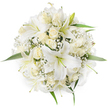 Seen from a gentle overhead view, this perfectly round bouquet reads as an expression of calm and refined simplicity: a tightly gathered halo of luminous white oriental lilies, creamy ivory roses in tight buds and half-open blooms, and soft, feathery clusters of white Baby's Breath (Gypsophila) that drift like a light mist between the larger flowers. The lilies' broad, trumpet-shaped petals catch a soft, even light so that their slightly green-tinted stamens and pale yellow anthers are visible without harsh shadow; the roses' velvety spirals create a reassuring, tactile density at the bouquet's core. Small flashes of fresh green foliage peek from beneath the blossoms around the circumference, their glossy leaves giving a cool, natural contrast to the monochrome palette and helping the round silhouette read clearly against the pure white background. There is an audible sense of scent in the description - the lilies' sweet, honeyed perfume balanced by the roses' warm, fruity notes - and a tactile sense too, the cool smoothness of petals and the airy, papery texture of the gypsophila. Composed with classical symmetry and restraint, this arrangement suggests occasions that ask for quiet dignity and hopeful celebration alike: a bridal posy arriving at a morning ceremony, a tasteful centerpiece for an elegant lunch, or a thoughtful gift to mark new beginnings. A local florist would pack it carefully for delivery in Stanmore, taking care that the subtle cream tones and pristine whites remain immaculate on arrival - an image of purity and thoughtful craftsmanship for any meaningful moment in the community.