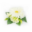 A delicate, hand-composed corsage caught against a crisp white backdrop, where a single large white Gerbera daisy anchors the design with its smooth, radiating petals and a cheerful yellow-green centre. Surrounding that central bloom are creamy Lisianthus (Eustoma) flowers in various stages of opening: two partially unfurled blossoms show soft, ruffled edges in pale ivory and buttery cream, while several slim, pale-green buds promise gentle movement and growth. A smaller layered white daisy or chrysanthemum peeks from the upper right, adding depth and a whisper of fullness. Broad, deep emerald green leaves cradle the cluster, their waxy surfaces giving the light a restful, botanical sheen and framing the pale palette with rich contrast. On the right, three tiny pearl beads are discreetly woven into the foliage, their subtle shimmer suggesting formality and a bridal touch without overpowering the natural simplicity. The lighting is soft and diffuse, like early morning on Stanmore High Street, highlighting the velvety textures of petals and the cool, clean scent you might expect from freshly cut blooms. As a local florist describing this piece, I picture it pinned at a wedding at Bentley Priory or tucked into a lapel for a quiet celebration on Stanmore Common-an arrangement that feels both garden-fresh and elegantly restrained. The minimalist white background ensures every curve of petal and fold of leaf reads clearly, making this corsage perfect for wedding editorials, bridal styling references, or guides to understated bridal accessories in Stanmore and the surrounding neighbourhoods.