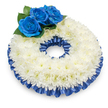 Seen from a slightly elevated angle against a clean white backdrop, this circular sympathy wreath reads as a study in quiet contrast and careful craftsmanship. A dense, slightly domed band of pristine white chrysanthemums forms the bulk of the design; their feathery, many-layered petals catch the light with a soft, satin-like sheen and a whisper of warm cream at the centres, offering a tactile softness you can almost feel. Nestled at the upper left quadrant are three deep blue roses-rich sapphire to royal in tone-each petal tightly spiralled then unfurling into velvety curves, their colour intensified by clusters of glossy dark-green foliage that tuck the blooms into the chrysanthemum bed. Framing the wreath on both inner and outer rims is a pleated cobalt satin ribbon, its gentle ripples and lustre giving the piece structure and a refined edge while echoing the roses' hue. A subtle shadow beneath the wreath anchors it to the white surface, lending depth and presence without distraction. The overall mood is one of dignified calm: the cool blues bring a sense of solace while the white chrysanthemums speak of remembrance and purity. As a florist who often prepares tributes for services at local chapels near Stanmore High Street and services at Canons Park, I make a point of balancing texture, tone and scent-here the chrysanthemums' faint, comforting fragrance sits behind the roses' muted green perfume. This arrangement suits a funeral or memorial setting where understated elegance and heartfelt respect are required, offering a visual focus that comforts rather than overwhelms.