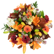 A radiant, overhead portrait of an autumnal bouquet that feels like a late-afternoon stroll through Stanmore Common - warm, intimate and richly textured. Several large, fully opened orange Asiatic lilies take centre stage, their trumpet-shaped petals unfurling with satin sheen, while many tightly furled buds in pale orange and fresh green promise more blooms to come. Scattered among them are cheerful Gerbera daisies in pumpkin orange and a deep, wine-like burgundy; their sun-like ray petals surround dark centres and give the composition a lively, celebratory pulse. Soft ivory lisianthus with ruffled, layered petals provide gentle contrast and a cloud-like softness, and clusters of muted purple-lavender Astrantia add an intricate, spiky texture that reads like spun lace against the bolder blooms. Broad, lobed oak leaves in reddish-brown are artfully placed to echo fallen leaves on a Stanmore pathway, and glossy green foliage and slender stems weave through the bouquet to offer freshness and structural depth. The arrangement is tightly packed and impeccably fresh, photographed in bright, even light on a pure white background so every hue-from the brightest orange to the deepest burgundy and the pale cream-pops clearly. The overall impression is warmth and harvest: a bouquet that evokes cosy gatherings, a Thanksgiving centrepiece, or a thoughtful autumn gift for someone near Stanmore Broadway or the Jubilee Line station. The textures suggest a soft, woodsy fragrance and the silent rustle of drying leaves, a sensory little moment of seasonal comfort captured in floral form.