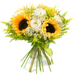 This joyful, hand-tied bouquet stands out clearly against a pure white background, every detail easy to imagine, as if you were holding it fresh from a Stanmore florist. Two to three striking sunflowers form the core, their rich, dark brown centres densely packed and surrounded by generous rings of bright, golden-yellow petals that open wide like warm rays of sunlight. Softening their boldness are several creamy white roses tucked in between, each rosebud composed of velvety petals that spiral inward, some blooms still partially furled while others open enough to show a gentle ivory blush at their core. Scattered throughout the bouquet are clusters of dainty, white daisy-like flowers-much like chamomile or feverfew-with petite yellow centres that add movement, detail, and a hint of wildflower charm, as though just gathered from the edges of Stanmore Country Park. Enveloping the mix of blooms is an abundance of feathery, lime-green foliage, similar to delicate solidago, which adds volume and soft, cloud-like texture without overwhelming the main flowers, giving the entire arrangement a rounded, slightly loose silhouette. The stems are kept long, green, and natural, carefully aligned and tied firmly at the base with a narrow lime-green ribbon that wraps neatly and hangs in a small tail, perfectly matching the fresh greenery. This bouquet feels ideal for celebrating a sunny birthday, welcoming someone to a new home in Stanmore or nearby Bushey, or sending a spontaneous thinking of you gesture, with its blend of sunflowers and roses expressing joy, kindness, and thoughtful appreciation in a bright, uplifting way.