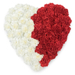 From a close overhead perspective, this heart-shaped composition reads like a tactile map of feeling: densely packed cream and off-white carnations form the entire left hemisphere, their ruffled, velvety petals folded in soft waves that catch a cool, diffused studio light and hint at a delicate, powdery clove scent. The right hemisphere is an equally rigorous study in contrast - countless deep, true-red carnations layered tightly to create a plush, velveteen surface that suggests warmth and ardour. Where the two fields meet, the division runs straight down the centre with a clean but organic line, the textures interleaving so that the eye follows the seam as if reading a story of union and division. The arrangement sits against a plain white backdrop, which heightens the graphic punch of the two colours and allows each individual bloom's fringed edges and subtle shadows to remain clearly visible. As a florist who often prepares tributes for families leaving from St. Luke's or for civic events near Canons Park and Stanmore Broadway, I picture this piece used for a memorial or a national celebration - it can read as a quiet expression of love, a public emblem of identity, or a tender symbol of shared memory. The craftsmanship is deliberate and respectful: blooms are densely clustered with consistent depth and curvature so the heart appears cushioned and continuous. In the hands of a local florist, this is a piece that offers both visual clarity for publication and the comforting tactility people seek when honouring a life or a homeland in the Stanmore community.