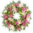 Against a crisp, white background, a beautifully composed funeral wreath stands out as a ring of soft colour and lush greenery. The arrangement is circular and complete, filled from edge to edge with flowers so that the entire form reads as an unbroken symbol of remembrance. Rich fuchsia and deep magenta roses mingle with paler blush and pastel pink roses, their petals layered and gently ruffled, some blooms fully open, others still gathering themselves in tight buds. Between them, large double lilies provide contrast, with broad, silky petals in shades of cream, blush pink, and subtle peach, some displaying delicate markings near their centers. A scattering of bright, lime-green lily buds adds a fresh, uplifting note. Surrounding and supporting the flowers is a cushion of dark green foliage: airy fern fronds trace a light, feathery outline, while glossy leaves in varying sizes and depths of green fill the spaces and give structure to the circle. The interplay of cool greens and warm pinks and creams gives the wreath a composed, soothing presence, echoing the peaceful character of Stanmore's green spaces and quiet residential streets. This wreath feels ideally suited for use at funerals, memorials, or graveside tributes across Stanmore, offering a focal point of beauty and calm in a time of grief. Its thoughtful design and harmonious balance suggest the work of a caring local florist, using flowers to convey respect, love, and the enduring nature of cherished memories.
