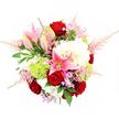 Photographed from a slightly elevated, top-down angle, this opulent bouquet appears against a crisp, white studio background, its colours and textures standing out as clearly as if you were viewing it in a Stanmore flower shop. The arrangement is rounded and lush, packed tightly with blooms that create a sense of richness and care. Deep red roses anchor the centre, their velvety petals spiralling inward and gently opening, giving the bouquet a heartfelt, romantic focus. Interlaced between them, pink stargazer lilies stretch outward and upward, some fully unfurled into starry shapes with darker speckles and long stamens, others still closed in tapered buds that promise gradual unfolding. Surrounding these statement flowers are full clusters of creamy white hydrangeas or similar ruffled blooms, forming a soft, cloud-like base that adds both volume and gentle contrast. Bright lime green Green Trick dianthus or pom-pom chrysanthemums are tucked among the petals, their mossy, spherical shapes providing an edgy, contemporary accent. From the outer edges, delicate plumes of pale pink astilbe extend gracefully, creating a feathery halo and a sense of motion. Tiny accents of lavender and fuchsia filler blossoms glimmer between the larger flowers, adding subtle depth and additional layers of colour. Rich green foliage, including broad, glossy leaves and fine, fern-like sprigs, wraps around the composition, echoing the greenery of nearby parks and gardens around Stanmore. The lighting is even and clear, ensuring the true colours and forms of each bloom are visible. This bouquet conveys celebration, affection, and thoughtfulness, perfect for anniversaries, birthdays, or elegant dinner parties across Stanmore and the surrounding HA7 neighbourhoods.
