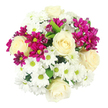 In this photograph, a generously rounded bouquet is captured from above against a simple white backdrop, allowing its colours and shapes to take centre stage, much as it might in a bright Stanmore kitchen or lounge. Creamy white roses are dotted across the arrangement as elegant focal points, their concentric petals forming tight, graceful spirals that gradually loosen towards the edges, lending a sense of poise and refinement. Surrounding them, abundant white chrysanthemum daisies create a soft, layered base, each bloom defined by narrow petals that fan out around small yellow-green centres, contributing a fresh, optimistic feel reminiscent of morning light filtering over the gardens near Stanmore Golf Club or the quiet streets off Marsh Lane. Threaded throughout, clusters of vivid fuchsia spray chrysanthemums inject energy and contrast; their magenta petals appear in various stages, from compact buds to fully open miniature blooms, giving the composition texture and a sense of unfolding life. Small flashes of deep green foliage appear between flowers, providing visual depth and reinforcing the impression of recently cut, well-hydrated stems. The lighting is bright yet gentle, accentuating the clean whites and making the pinks pop without harsh shadows, so every petal appears well defined. Overall, the bouquet carries a mood of gentle celebration and comfort, equally suitable for a birthday surprise sent to a home near Canons Park, a get-well message for someone recovering nearby, or simply a way to refresh a room at the end of a long week. Its thoughtful balance of calm ivory tones and lively magenta suggests warmth, affection, and the quiet joy that fresh flowers bring into everyday Stanmore life.
