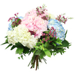 Captured against a spotless white background, this hydrangea bouquet has the gentle, soothing presence of a fresh arrangement placed on a sunny windowsill in Stanmore. At its heart are large, spherical hydrangea blooms, each one tightly packed with countless small, rounded petals that create a velvety, cloud-like texture you can almost feel. The colour palette is soft and balanced: delicate baby pink clusters add a romantic, comforting warmth; sky blue hydrangeas bring a cool, calming note; and creamy white blooms infuse the design with clarity and light, reminiscent of the open skies and green spaces near Canons Park. Threaded among these generous blooms are slender stems of tiny magenta or fuchsia filler flowers that look similar to waxflower, their petite, vivid blossoms dotting the bouquet with bursts of lively colour and giving the arrangement a slightly whimsical, garden-gathered touch. A collar of rich greenery encircles the hydrangeas, with broad, dark green leaves and finer, more delicate foliage overlapping to enhance the bouquet's rounded, full silhouette. The stems are visible at the bottom, neatly gathered and tied together in a classic hand-tied style, suggesting it is ready for delivery across Stanmore or to be placed into a favourite vase at home. Gentle, even lighting highlights the natural sheen on the leaves and the soft, matte surface of each petal, making the pastel tones appear fresh and luminous. The overall mood is one of quiet celebration and thoughtful kindness, well suited to birthdays, sympathy gestures, or simply adding a note of refined beauty to everyday life in this North West London neighbourhood.