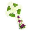 A beautifully detailed Celtic cross floral arrangement is set against a smooth white backdrop, its colours and textures standing out with quiet grace. The cross itself is made up predominantly of white chrysanthemums, their small, rounded blooms packed closely together to form a plush, cushion-like surface along the entire structure. The petals overlap gently, creating a soft, cloud-like effect that speaks of peace and remembrance, much like the reflective stillness found in Stanmore's local chapels and peaceful streets. Threaded into this white foundation, vibrant lime green button chrysanthemums define the Celtic ring at the centre and outline the characteristic interlaced patterns within the cross. Their compact, domed heads and bright green tones lend definition and a sense of life, echoing the fresh foliage seen around Stanmore's gardens and open spaces. Along the lower right portion of the vertical arm, a graceful arrangement of deep purple carnations introduces a poignant burst of colour. These blooms, with their ruffled and velvety petals, appear lush and full, standing proudly against the surrounding white and green. Interspersed among them are slender strands of green foliage and delicate woody tendrils, which curl and trail softly along the cross, as though a natural vine has gently grown over a carved stone monument. The lighting is even and soft, ensuring that each petal, leaf, and textural detail is clearly visible without distraction. This Celtic cross tribute would be a fitting sympathy or funeral arrangement for services in Stanmore, particularly for families wishing to reflect themes of faith, cultural heritage, and gentle remembrance through a beautifully composed floral design.