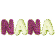 A tender, three-dimensional floral tribute spells out the name NANA in clear capital letters, set against a bright white background so every blossom reads like a small, deliberate brushstroke. Each letter is densely packed from hundreds of small chrysanthemum heads: the two N characters are built from rich, deep magenta-to-plum chrysanthemums whose tiny yellow centres peek like quiet punctuation, while the two A characters are fashioned from creamy white or soft ivory chrysanthemums that provide a cool, gentle counterpoint. Around each letter a lively lime-green edging - pleated ribbon or tightly arranged fresh foliage - undulates like a soft frame, giving the word definition and a fresh, natural lift. The surface of each letter is plush and textured under soft, diffused light; you can almost feel the snug, layered petals and catch the delicate, herbaceous scent of newly opened mums. This arrangement sits flat and readable, sculpted to be viewed up close at wakes, memorial tables, or placed unobtrusively at a graveside service. The overall effect is one of intimate reverence: the alternating purple and white creates a rhythm that reads both celebratory and respectful, a floral lullaby for remembrance. As a florist I picture it arriving in Stanmore on a cool morning, wrapped gently to preserve the texture and scent, ready to offer comfort where words fall short. It speaks plainly of love for a grandmother, an offering shaped by steady hands and an eye for quiet dignity - a bespoke sympathy piece meant to honour a beloved Nana with colour, scent and careful craft.