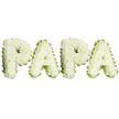 A tender, carefully constructed floral tribute that spells out the name PAPA in large, uppercase letters, set against a clean, bright white background so every petal reads clearly. Each letter is built from tight clusters of small, pristine white flowers-likely spray chrysanthemums or similar petite white blooms-packed to give a soft, slightly domed texture that catches the light and invites a gentle touch. Along the outside edges a pale lime-green ribbon or narrow band of fresh foliage is folded and pleated to trace the contours of each character, leaving a subtle ruffled frame that adds definition and a cool, natural contrast to the pure whites. The overall composition sits in a quiet, respectful register: horizontal, evenly spaced letters aligned with calm symmetry, the kind of personalised piece often commissioned for a funeral chapel, graveside service, or a remembrance display. You can almost sense the faint, comforting scent of chrysanthemum beneath the still air, and the florist's care-each blossom chosen for fullness and durability so the tribute stays intact through viewing and ceremony. As a local florist attuned to the pace of Stanmore life-from genteel weekday services near Stanmore Broadway to private family gatherings close to Canons Park-this arrangement reads as a loving, dignified farewell for a father or grandfather. It honours a familiar, intimate name with classic white-and-green symbolism: peace, purity, and remembrance. The quiet craftsmanship and restrained palette make the tribute suitable for moments of reflection, a visual embrace that speaks of loss, love, and enduring memory.